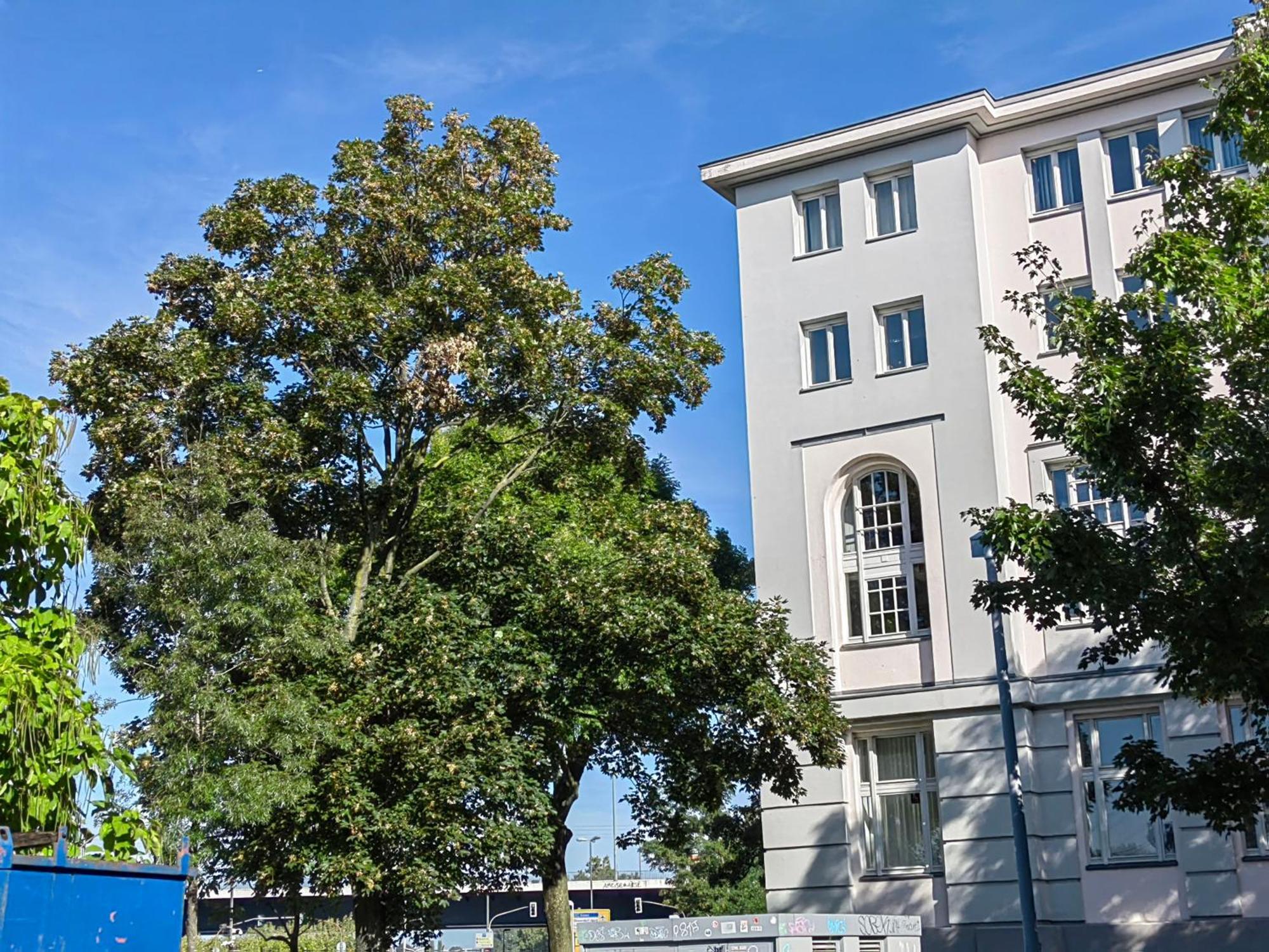 Epic Location Apartment Dusseldorf Bagian luar foto